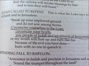 July 26 2014 our hearts