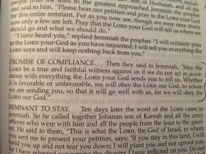 August 31 2014 They said no 1