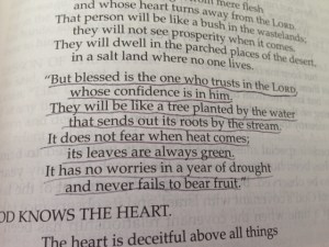 July 31 2014 Our Confidence