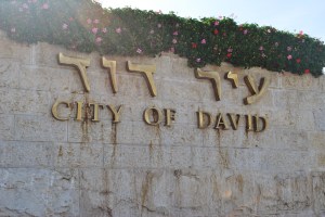 ddddddddddddddddDSC_0315