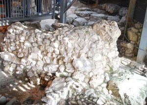 dddddddddddddDSC_0331