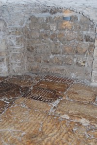 ftdDSC_0511