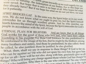 Dec 8 2014 for those who love him