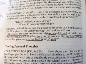 December 3 2014 nothing in vain