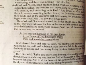 Genesis 1 2015 in the beginning