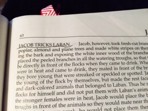 Jan 11 2015 teaching deception a