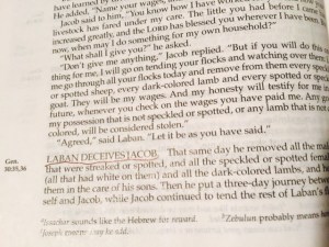 Jan 11 2015 teaching deception b