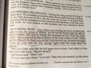 Jan 22a 2015 our burning bush