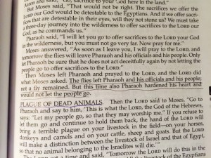 Jan 23 2015 a hardened heart b