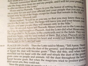 Jan 23 2015  ahardened heart a