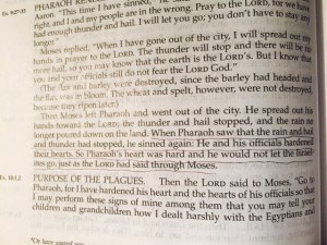 Jan 23 2015 c ahardened heart