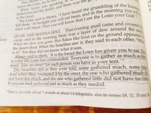 Jan 27 2015 All We Need