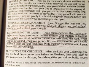 feb 16 2015 the main thing