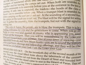 feb 7 2015 Sound the trumpets