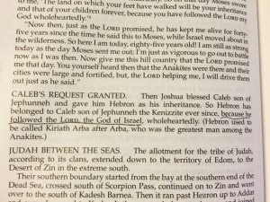 March 13 2015 Caleb is my hero