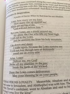 April 14 2015 Psalm 3