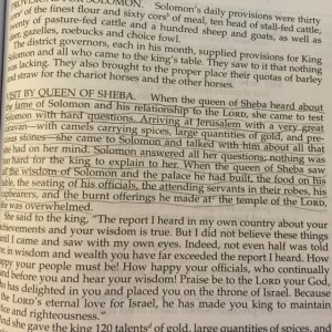 May 15 b The search 2015