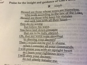 May 3 Psalm 119 aleph 2015