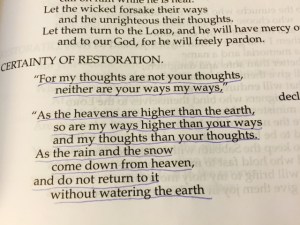 July 18 b 2015 look up 1