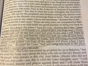 August 11 2015 a hope and a future