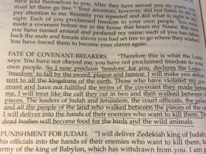 August 15 2015 we are free