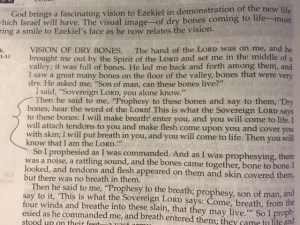 Sept 2 2015 no more dry bones