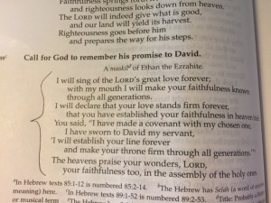 Sept 18 a 2015 psalm 89 great love