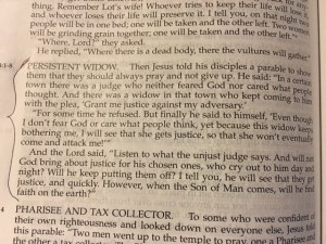 Nove 7 2015 the persistent widow