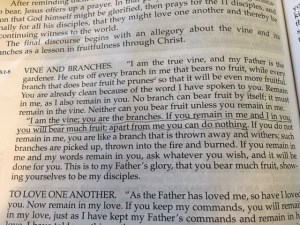 November 15 2015 we make it too hard