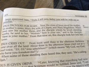 November 18 2015 Today in Paradise