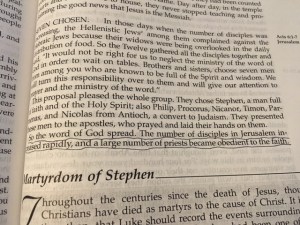 November 22 2015 Lots of seeds