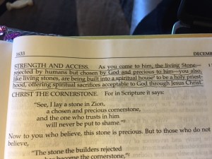 Dec 21 2015 living stones