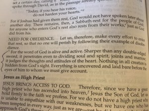 Dec 23 2015 alive and active