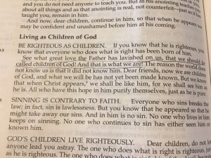 Dec 26 2015 great love