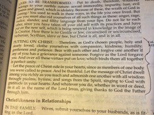 December 14 2015 he chose us