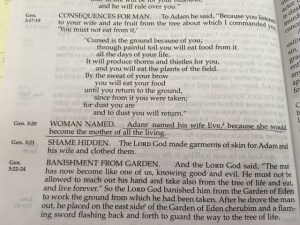 Jan 2 2016 They were both Adam