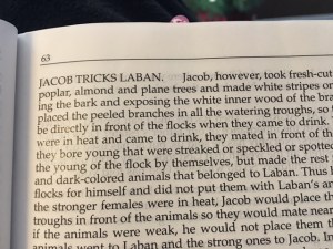 Jan 14 2016 b treachery and deciet