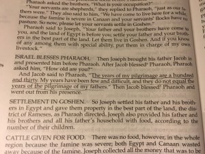 Jan 20 2016 years of my pilgrimage