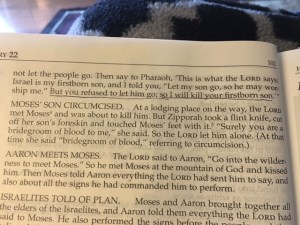 Jan 23 2016 faltering faith b