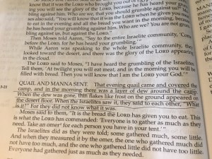 Jan 27 2016 more than enough