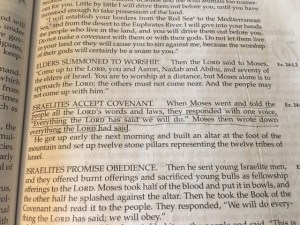 Jan 28 2016 Not a Democracy