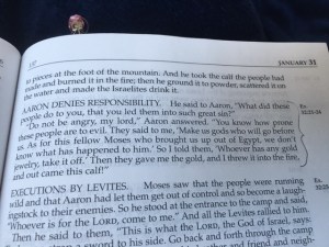 Jan 31 2016 Paying the Consequences