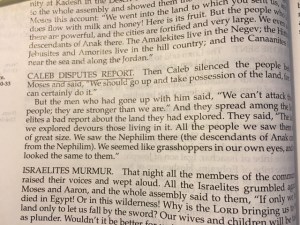 Feb 8 2016 supporting cast a