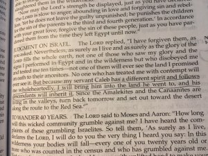 Feb 8 2016 supporting cast b