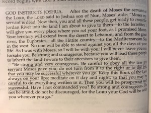 March 10 2016 I forget the name.