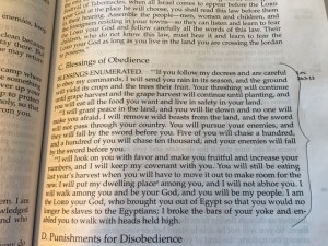 March 6 I will send the rain