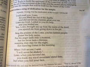 april 16b 2016 psalm 30 2016