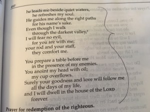 April 20 psalm 23, 2016