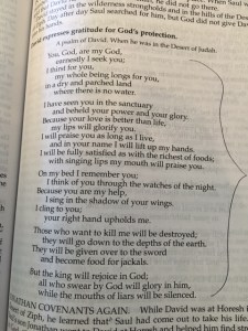 April 3 psalm 63, 2016