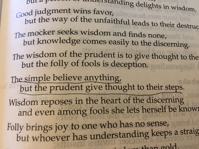 May 17 2016 the lies